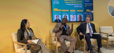 Action on Food Hub to champion food systems at COP30 in Brazil