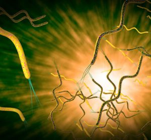 Campylobacteriosis-foodborne