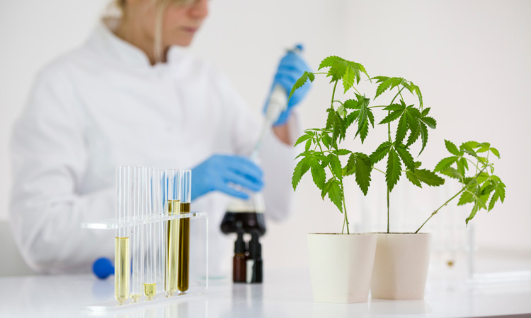 CBD Lab Testing: The Quality Proof of Your CBD Oil