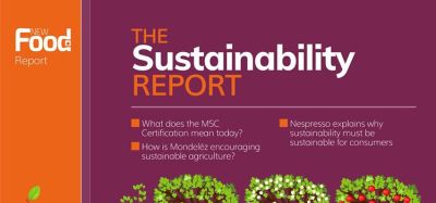 The Sustainability Report