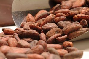 Cargill-C&C-Cocoa-beans