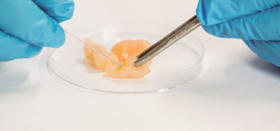 chicken in petri dish