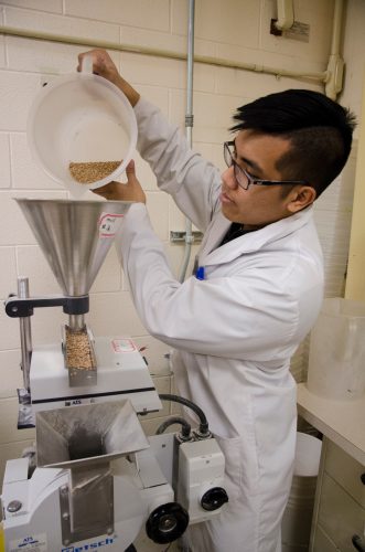 Grinding samples of grain