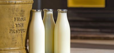 Dairy opportunities image