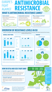 EFSA Salmonella and Campylobacter infographic