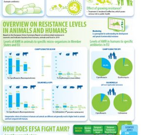 EFSA Antimicrobial Resistance Infographic