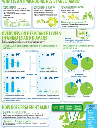 EFSA Antimicrobial Resistance Infographic