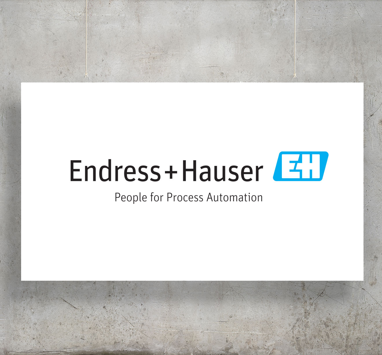 Endress and Hauser logo