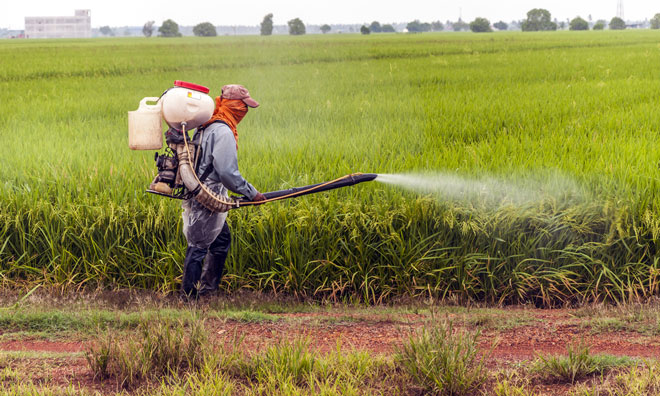 european-research-council-grant-cereal-protection