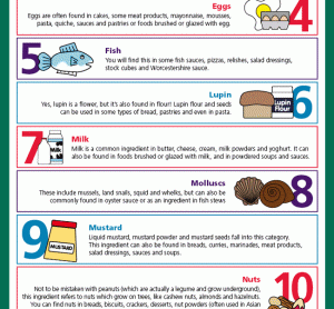 FSA food allergens