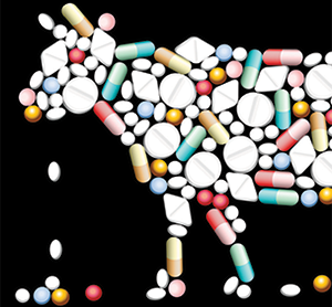 Agilent Technologies veterinary drugs webinar