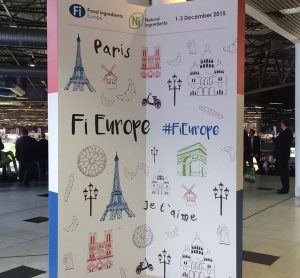 Fi Europe 2015