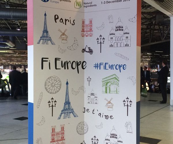 Fi Europe 2015
