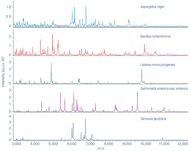 mass spectrometry food microbiology