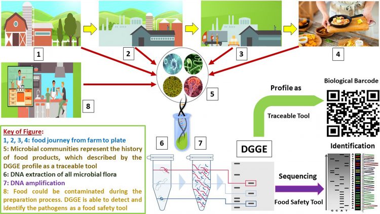 How PCR-DGGE could be used as a traceability and safety tool for food