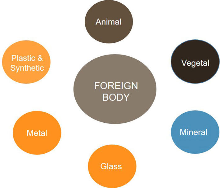 Figure 1 foreign material image