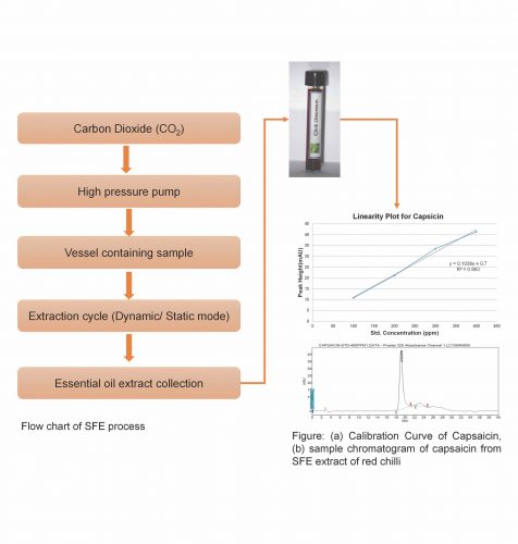 Sfe Supercritical Fluid Extraction And Application Of Bioactive Ingredients