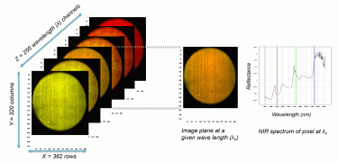 The data structure of a hypercube of hyperspectral imaging