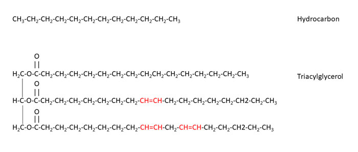 Figure 2 lubrication article