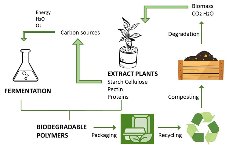 Figure 1 biodegradable polymers