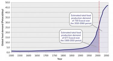 the challenge of feeding the world essay