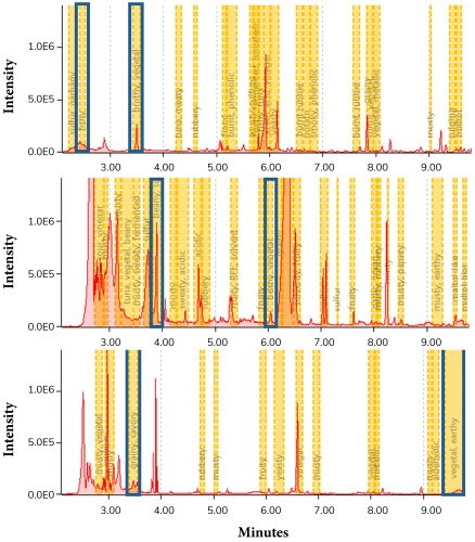 Figure 2: Stacked view of real tuna (top), plant-based tuna 1 (middle), and plant-based tuna 2 (bottom) GC-O/MS data with odour regions of interest marked in blue 