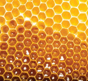 Food fraud: Testing honey with NMR-profiling