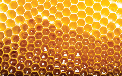 Food fraud: Testing honey with NMR-profiling