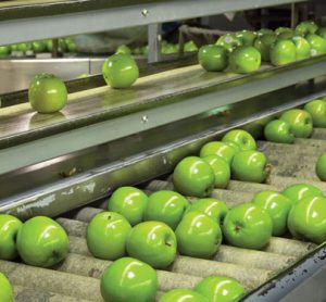 Foreign Body Detection: Transparency in the food and beverage industry