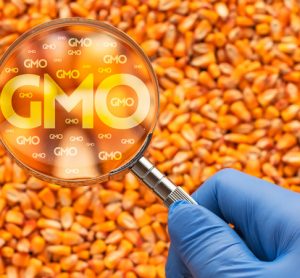 Survey suggests public concerns remain over safety of GM foods