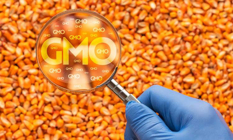 Survey suggests public concerns remain over safety of GM foods
