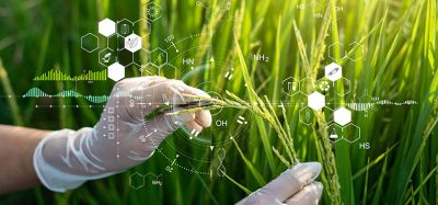 GMO image