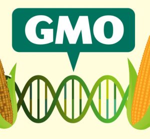 gmo-debate-anderson-partners