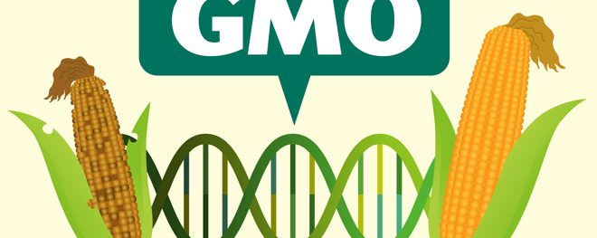 gmo-debate-anderson-partners