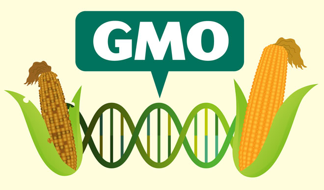 gmo-debate-anderson-partners