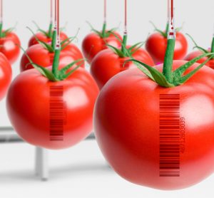 FDA, EPA and USDA launch GMO education initiative