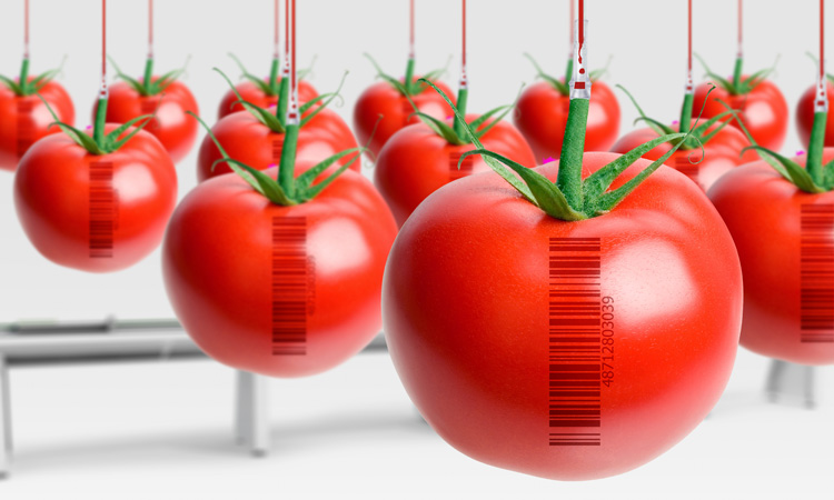 FDA, EPA and USDA launch GMO education initiative