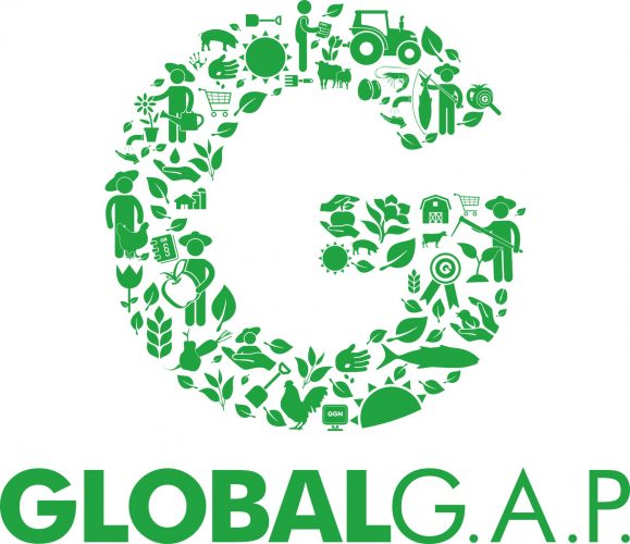 G_Logo_green (1)
