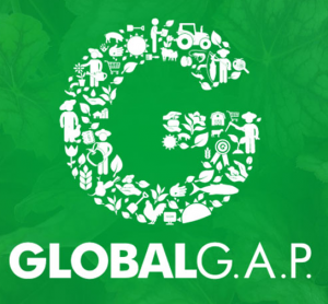 Global GAP logo