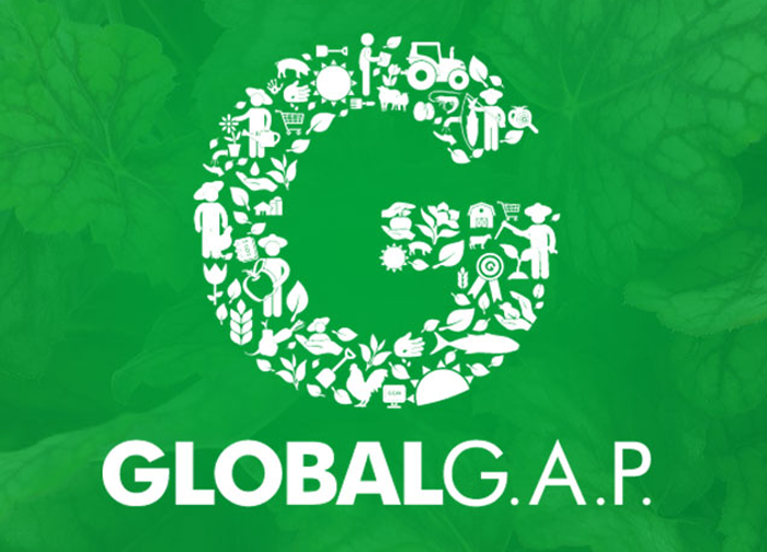 Global GAP logo