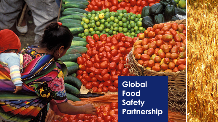 Global food safety partnership