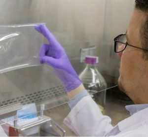 Novel composite antimicrobial film could help combat foodborne illnesses
