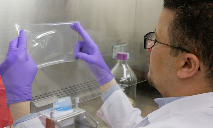  Novel composite antimicrobial film could help combat foodborne illnesses 