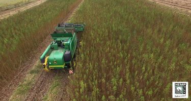 HempFlax combine harvester