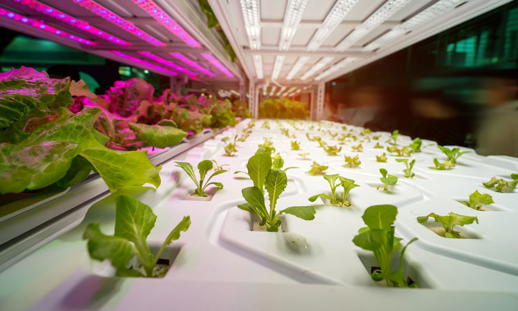 High-tech farming image
