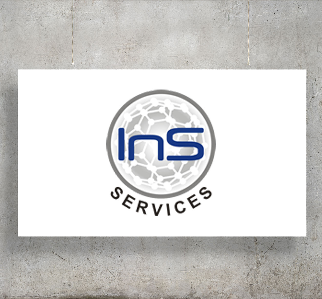 INS Services