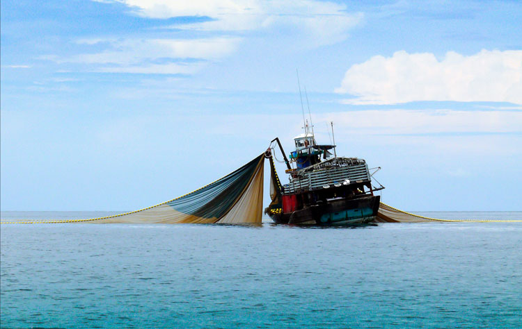 IUU fishing