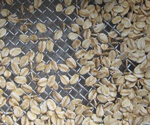 Incoming inspection of cereal flakes with sieve analysis