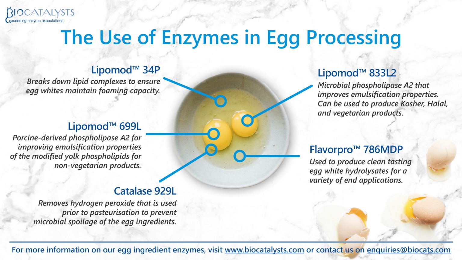 Application Note The Use of Enzymes in Egg Processing New Food Magazine