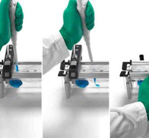 The Inlabtec Serial Diluter boosts Productivity of Food & Feed Testing